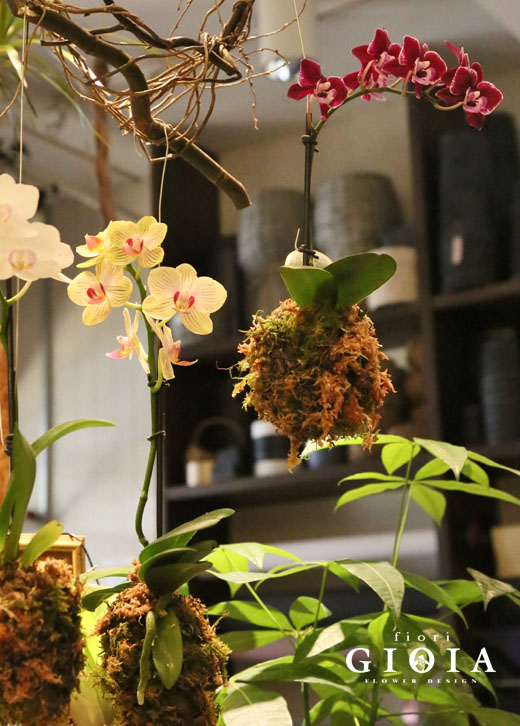 フラワーレッスンお知らせ☆