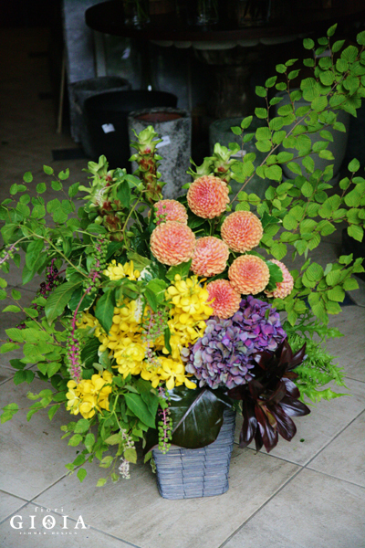 まだまだ梅雨🌂